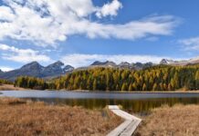 Ile za staż z urzędu pracy 2023? Ile za staż z urzędu pracy 2023?