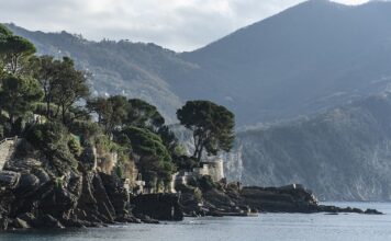 Ile kosztuje wymiana do Japonii?