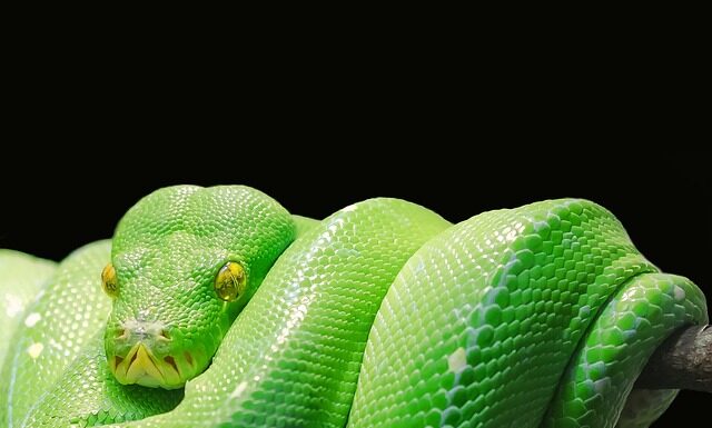 Co po kursie Python? Co po kursie Python?