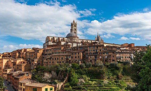 Po czym poznajemy kierunek rozwoju?