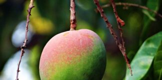 Jak być dojrzałym człowiekiem?