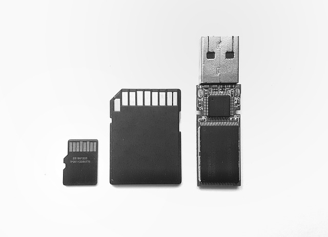 Kiedy z jest niewymienne? Kiedy z jest niewymienne?