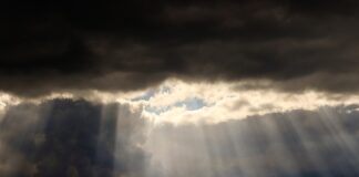 Czy warto trzymać dane w chmurze?