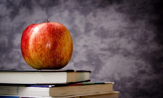 Ile jest klas w Holandii?