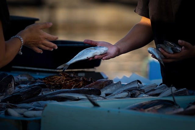 Jak sprzedawać swoje produkty? Jak sprzedawać swoje produkty?