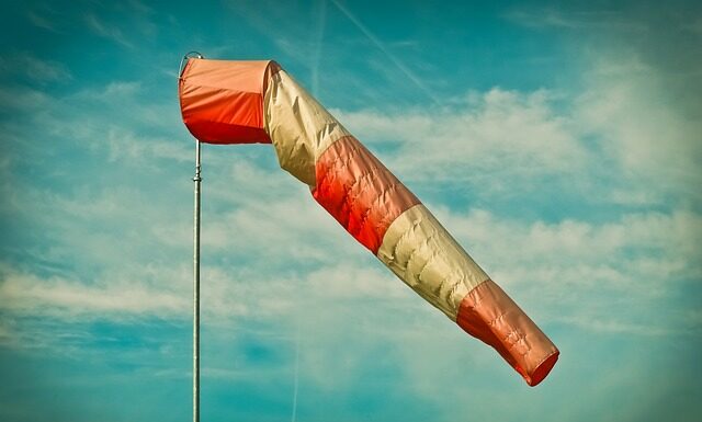 Czy Polacy robią zapasy?