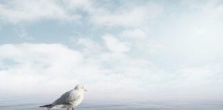 Jak się uspokoić i nie stresować?