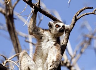 Jakie są zachowania ryzykowne?