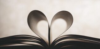 Czy studiowanie zarządzania ma sens?