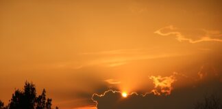 Jakie są metodyki agile?