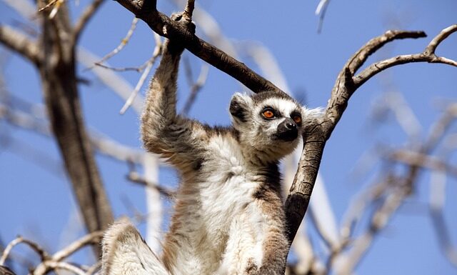 Z czego wynikają zachowania ryzykowne?