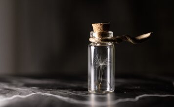 Za co jest najwięcej zapasów?